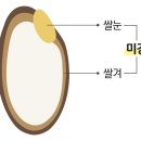 건강미인스토어