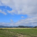 별량연가 이미지