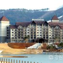 알펜시아리조트 노동조합 이미지