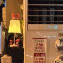 서울 홍대 ‘술집감탄’ 솔직 후기 | 감성과 맛 모두 잡은 핫 플레이스!