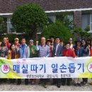 광양보건대학교 이미지