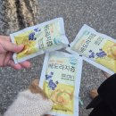 유지니의작은정원 | 유지니의작은정원: 용인 처인구 식물카페, 한국외대 용인캠 카페 (주차가능카페)