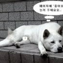 거참 이미지