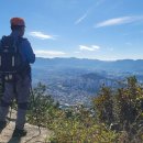 봉림농장 이미지