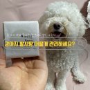 바람난강아지 - 송파구 풍성로 59 | 강아지 발사탕 어떻게 관리하세요? ‘비누’로 바꿔본 후기