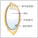 유나농산