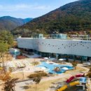 가족나무 이미지