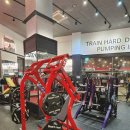 골드휘트니스 이미지