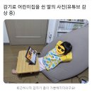 진성엔에프 | 네 붉은빛이 들판에 내려서