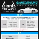 자이언트 디테일링 이미지