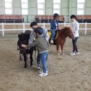 영천시운주산승마조련센터 대경일보