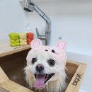 두리미용실 - 보은군 | 두리미용실