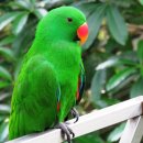 산마번역행정사사무소 이미지