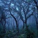 교산집 | 교산 허균(蛟山 許筠) : 망함산(望咸山), 초도함산(初到咸山)