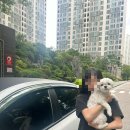 채소의 익힘이 중요하다고 생각하는데…