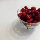 봉다리농장 이미지