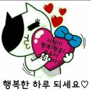 해피투데이 이미지