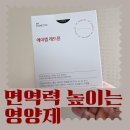 면역력 높이는 영양제 비타민 만성 피로 회복제 추천 후기