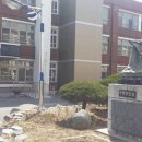 영천여자고등학교 이미지