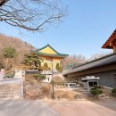 서울스테이 | 서울 템플스테이, 수국사 휴식형 후기 내돈내산 추천