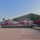 도화보건지소 네이버블로그
