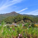 문경자연생태박물관 이미지