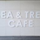 씨앤트리 이미지