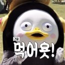 로우슈거 이미지