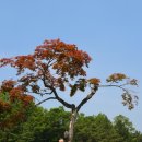 베일리컴퍼니주