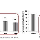 노마셀 이미지