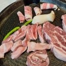 라베니체8차화장실 | 김포 라베니체 맛집 돼슐랭 라베니체점 후기｜분위기+고기 퀄리티 다 잡은 곳