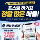 성운부동산 공인중개사 사무소 네이버블로그