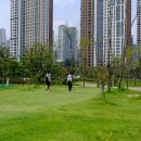 안양새물공원 축구장 이미지