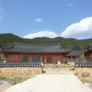 금환낙지
