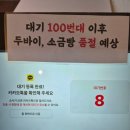 대전 두바이쫀득쿠키 미미제과점 두쫀쿠 – 드디어 먹어본 솔직 후기