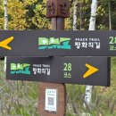 현리교 | 코리아둘레길 DMZ 평화의 길 27-2,28,29구간(대암샘터-설악금강서화마을)
