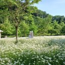 악양생태공원 이미지