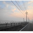 대보천 제방도로 이미지