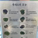 배다리저수지 주변 이미지