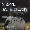 다 똑같은 잔디 아니야? 이미지