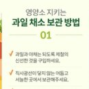과일채소