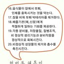 장청뇌청