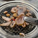 참숯타는대구막창 네이버블로그
