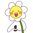 힐링원예협동조합