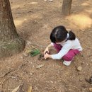 예소담유치원 이미지