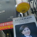 젤리아 뷰티