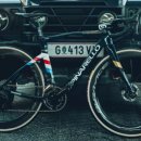 스타피드 이미지