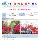 (주)마이여행사