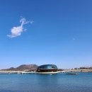 행정사사무소 세종 이미지