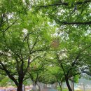 남원국악예술고등학교 | 제93회 춘향, 빛을 그리다 '남원 춘향제' 다녀온 후기